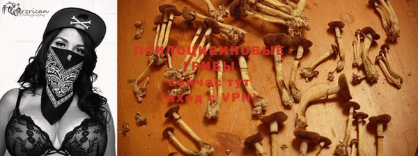 винт Новозыбков