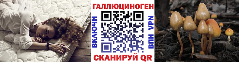 закладки  Малаховка  Галлюциногенные грибы GOLDEN TEACHER 